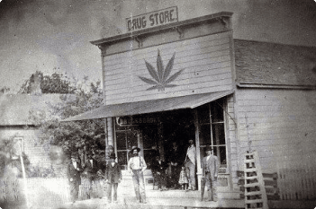 Indiana cannabis history