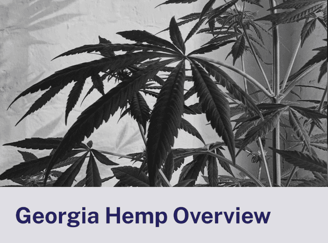 Georgia Hemp Overview.png